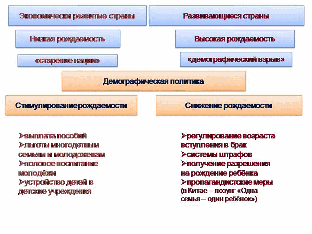 схема демографической политики